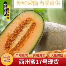 新疆吐鲁番西州密25号哈密瓜产地直销瓜大瓜甜欢迎订购