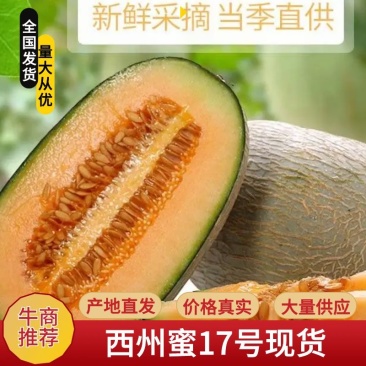 新疆吐鲁番西州密25号哈密瓜产地直销瓜大瓜甜欢迎订购