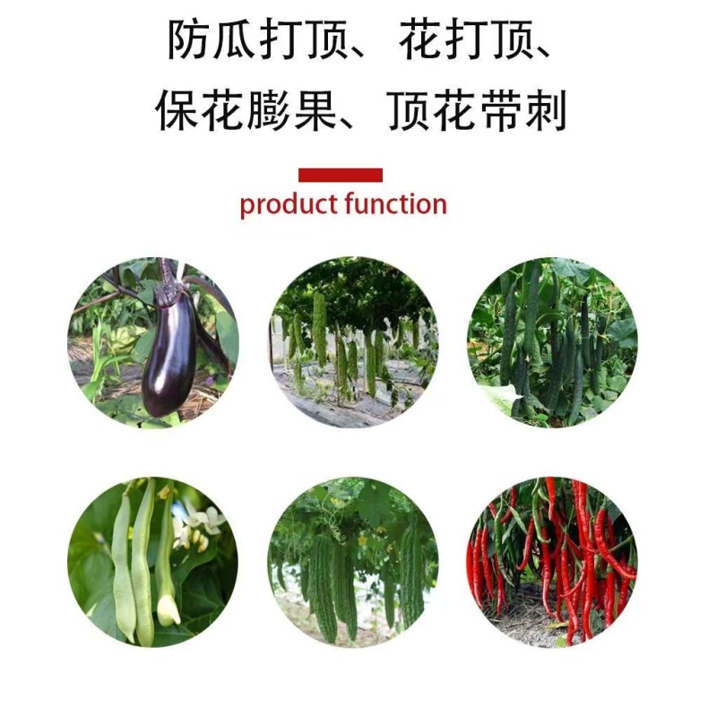 黄瓜顺直王丝瓜辣椒含氨基酸叶面肥防瓜打顶花打顶快速补营养