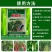 黄瓜顺直王丝瓜辣椒含氨基酸叶面肥防瓜打顶花打顶快速补营养