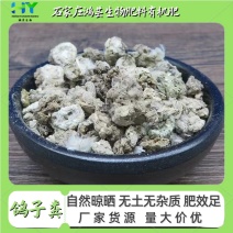 干鸽子粪肥效好有机肥鸽子粪改良土壤蔬菜果树用肥干鸽子粪