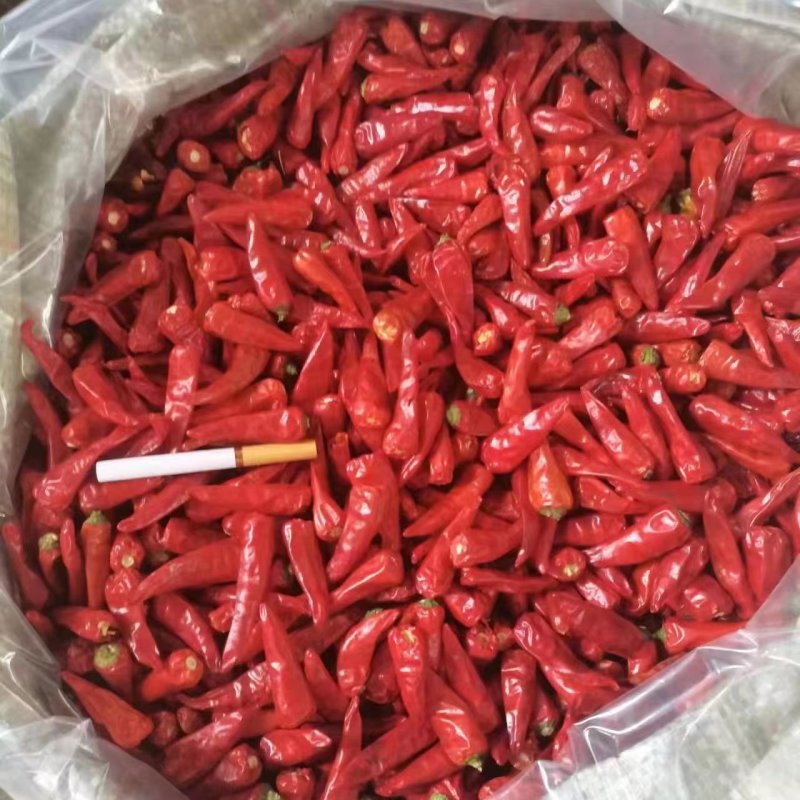 【精品】剪把印度椒辣椒打粉切断代加工代发欢迎订购