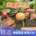 精品山东【秋月梨】肉质细脆汁多味甜清香爽口欢迎咨询