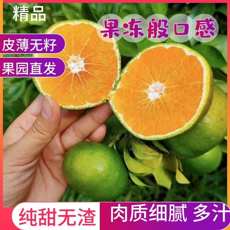 湖北柑桔【蜜橘】口感甘甜肉质细嫩入口即化口感清爽