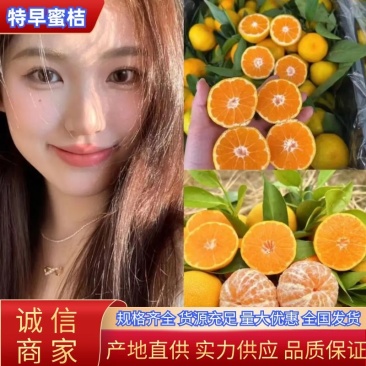 【柑桔】早熟蜜橘产地批发皮薄口感甜对接批发电商可视频