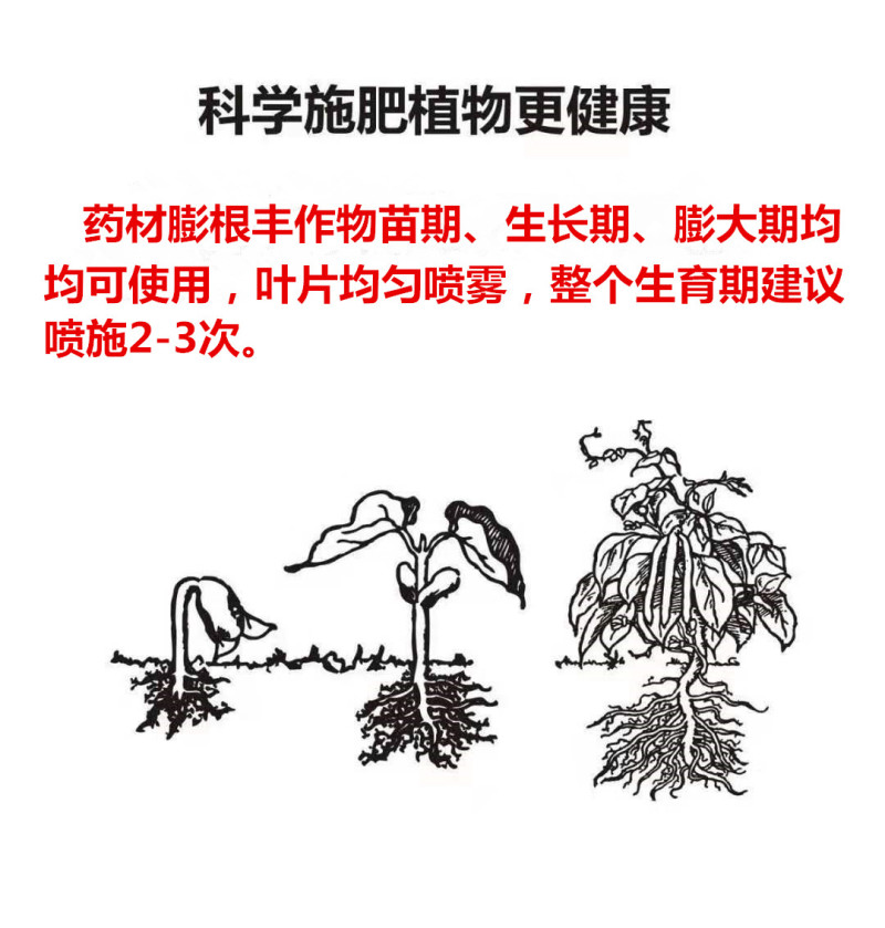 中药材地下根茎块茎膨大药材膨根丰人参牡丹半夏黄芪柴胡重楼