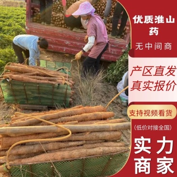 【全国代发】铁棍山药淮山药白鬼黑鬼可供电商直发广东