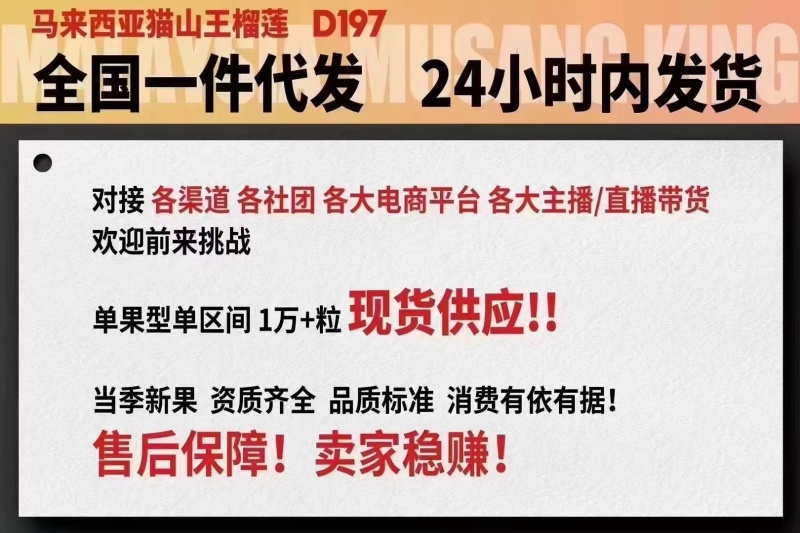 【一件代发】马来西亚猫山王榴莲D197支持电商ERP对接