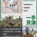 马来西亚猫山王D197批发量大从优各种规格