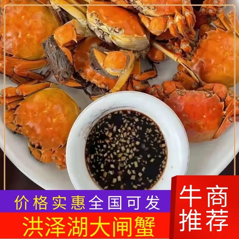 精品洪泽湖大闸蟹基地直供一手货源品质保证价格透明欢迎来电
