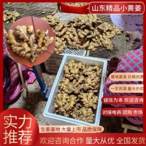 优质黄姜🔥小黄姜🔥水洗姜🔥销往全国各地，包质量