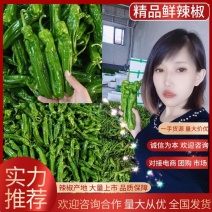 山东鲜辣椒薄皮椒，芜湖椒，对接电商市场超市，货源充足