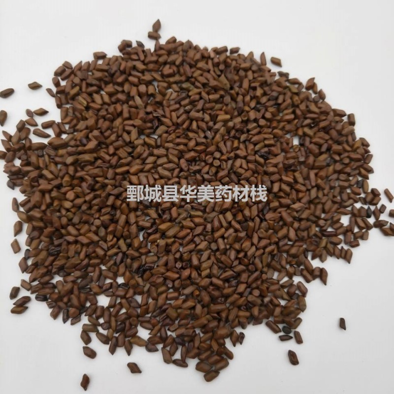 决明子1000克【华美中药】中药材批发现货供应【决明子】