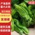 鲜辣椒山东兰陵芜湖椒薄皮椒全国发货品质保证以质论价