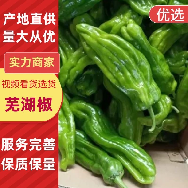 鲜辣椒山东兰陵芜湖椒薄皮椒全国发货品质保证以质论价