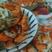 【保证新鲜】江苏青蟹，大量上市规格齐全，质量保证对接全国
