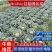 【精品】四川甘蓝圆包菜基地直发价格美丽对接全国