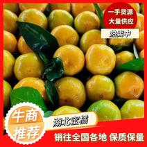 【热卖】蜜橘柑橘大量上市，皮薄多汁，橘子口感好支持发货。