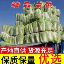 夏邑县青杂三号白菜供应泡菜厂、酸菜厂、市场、超市。