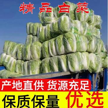 夏邑县青杂三号白菜供应泡菜厂、酸菜厂、市场、超市。