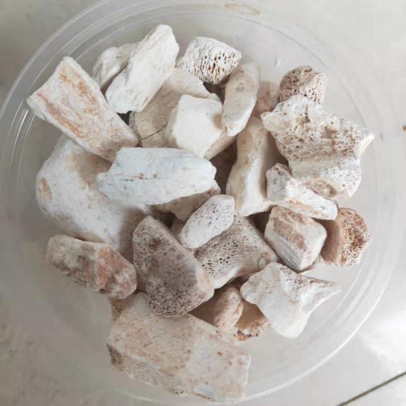 龙骨煅龙骨各种规格正品龙骨白龙骨