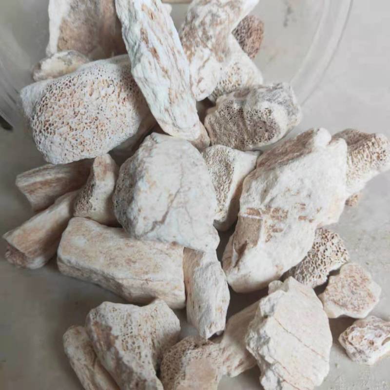 龙骨煅龙骨各种规格正品龙骨白龙骨