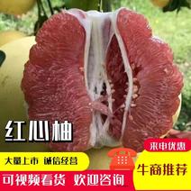 精品红心柚子大量供应对接各种市场全国可发货