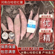 哈蜜冰糖心蜜薯，白雪公主基地种植大量供应，支持电商，超市