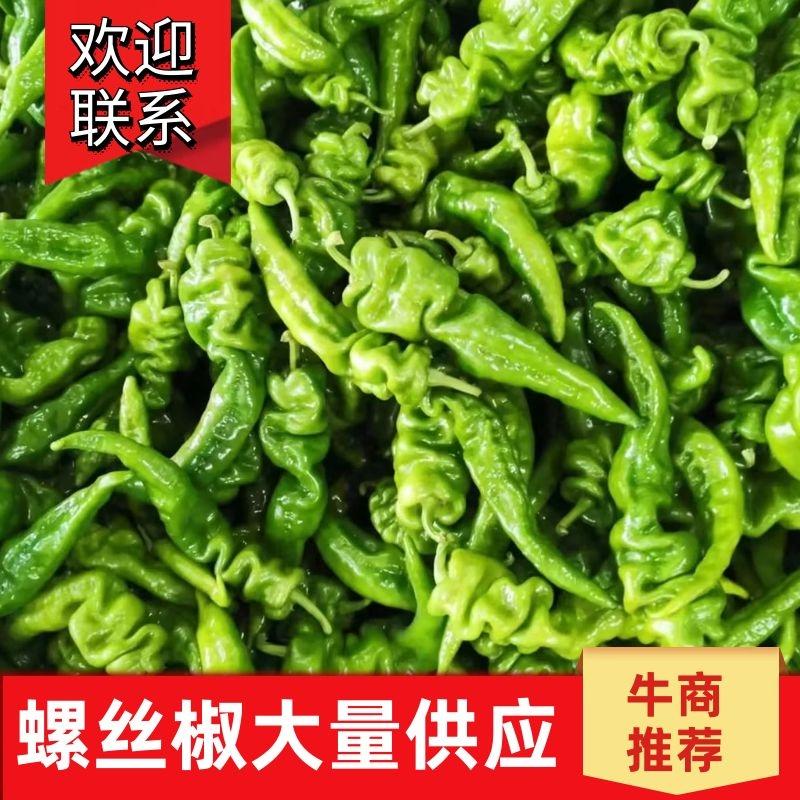 螺丝椒15~20厘米青中辣