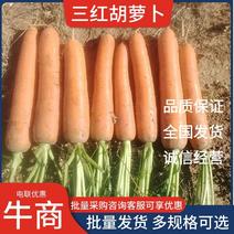 三红胡萝卜内蒙胡萝卜产地直发量大从优批发价电联