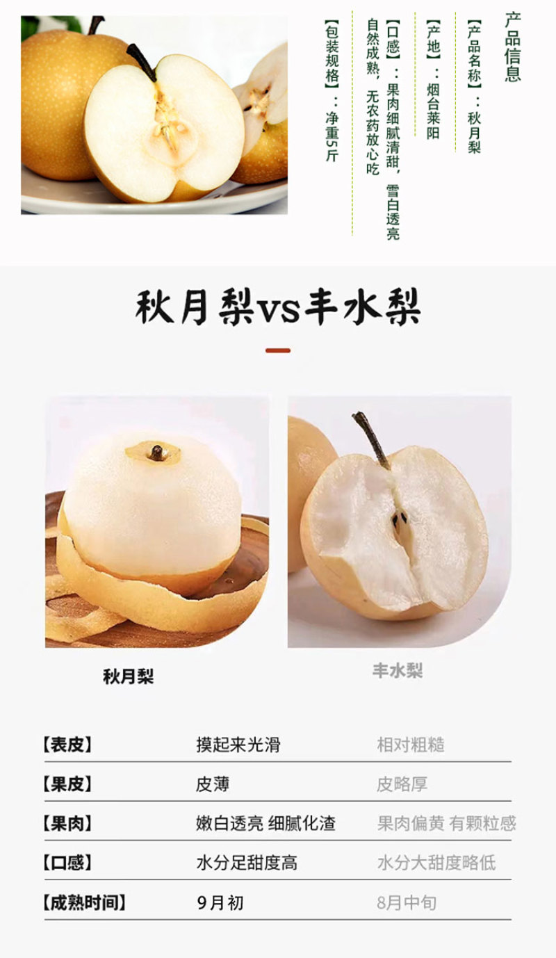 正宗原树秋月梨树上熟新鲜水果蜜甜多汁