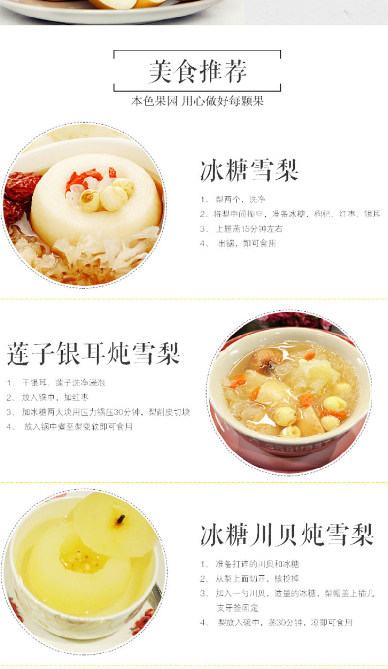 正宗原树秋月梨树上熟新鲜水果蜜甜多汁