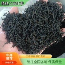 【茶厂直销】精品红茶回味醇香各价位都有欢迎电联