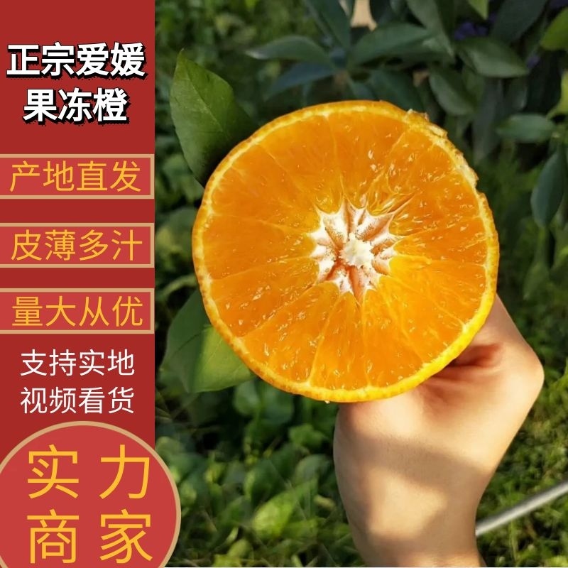 【爱媛橙】正宗爱媛38号果冻橙皮薄多汁承接各大市场电商