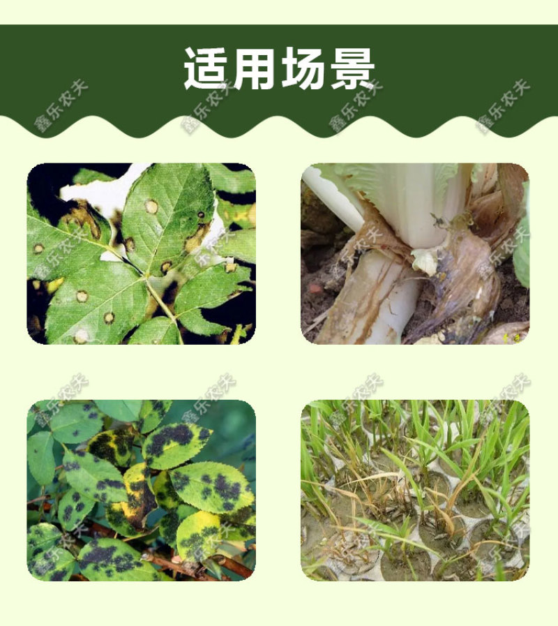 助剂大蒜油杀菌助剂驱虫去青苔增强药效持效期长渗透