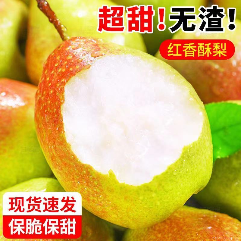 【现货速发】山东青岛精品红香酥梨脆甜可对接全国市场商超