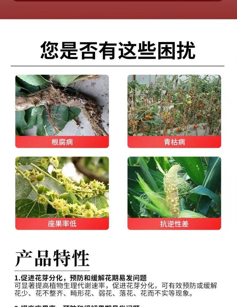 奥丰哈茨木霉菌生根壮苗防根腐烂苗死棵促生长防重茬微生物菌