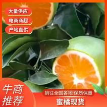 精品四川蜜橘货源充足，多品种可选货源稳定，支持全国发货