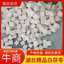 精品白茯苓湖北一手货源常年供应质量保证电联