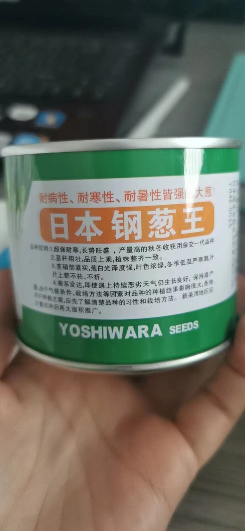 钢葱种子日本钢葱王种子高产抗倒伏耐热耐寒耐抽大葱种子