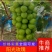 【优选】阳光玫瑰，陕西渭南葡萄，大量出售欢迎来购量大从优