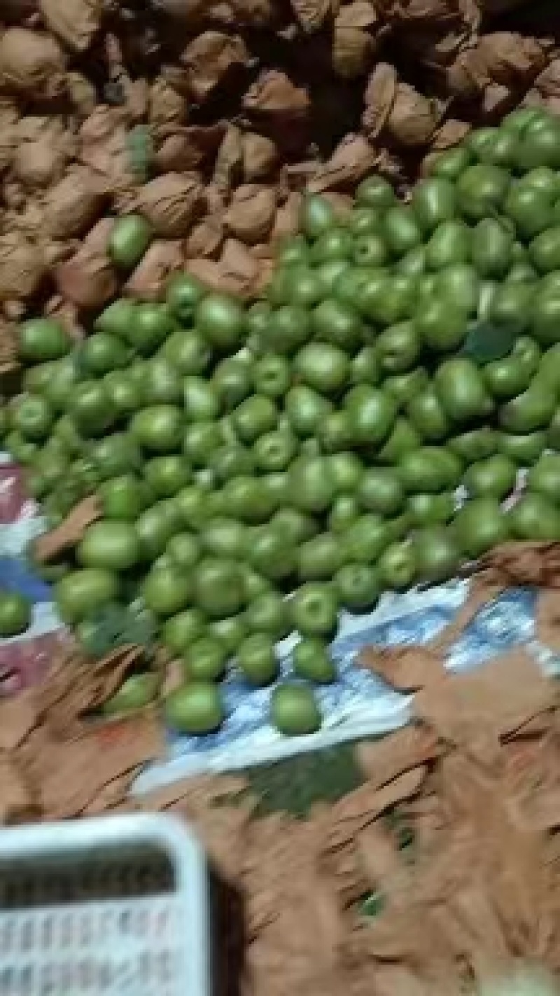 红心猕猴桃四川精品猕猴桃大量供应中欢迎咨询