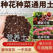 营养土，种花种菜通用土，花卉多肉营养土货源充足电联