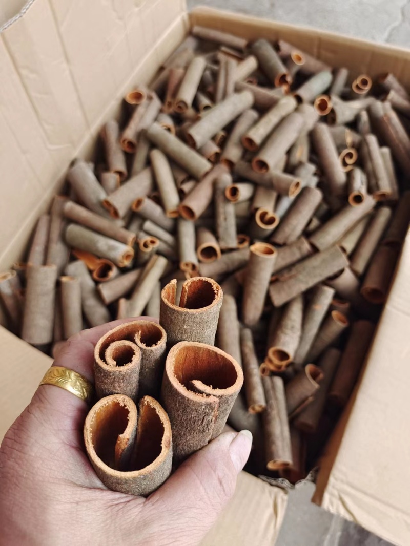 厚肉桂桂皮段广西桂皮质好价优产地直发欢迎采购
