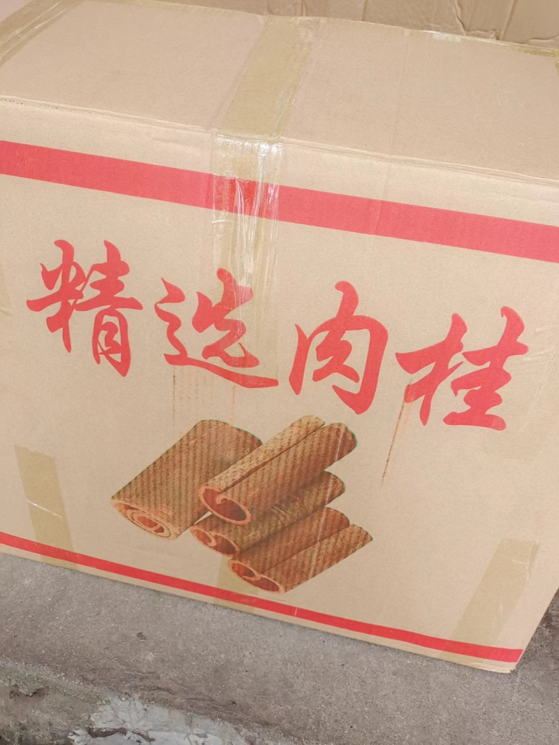 厚肉桂桂皮段广西桂皮质好价优产地直发欢迎采购