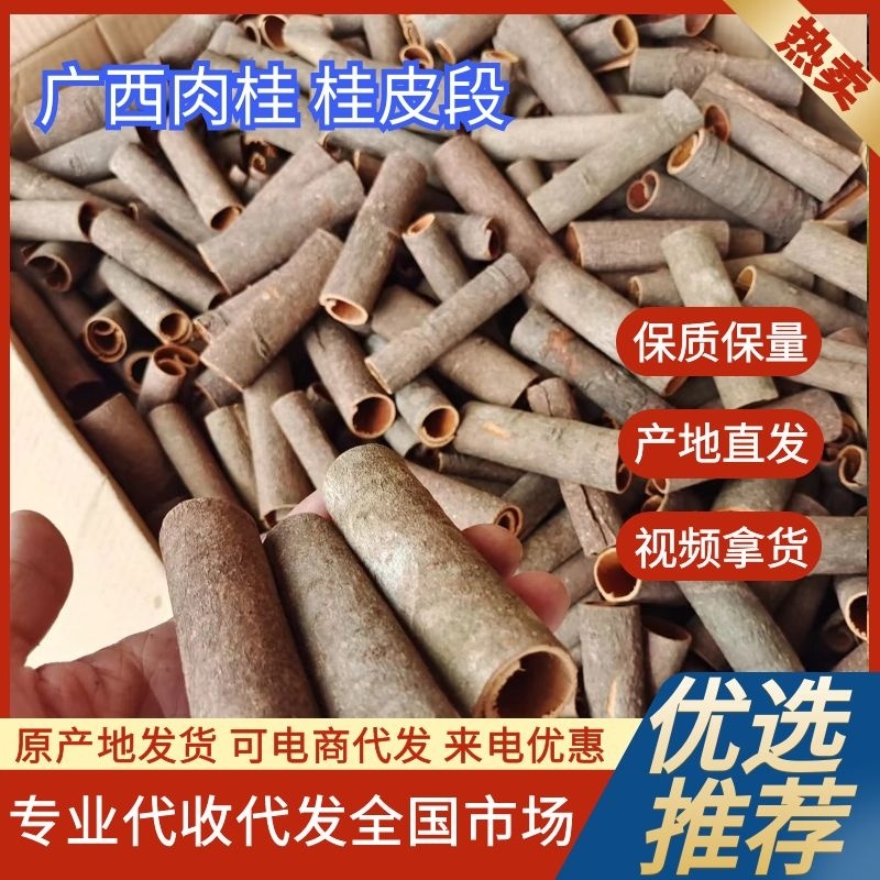 厚肉桂桂皮段广西桂皮质好价优产地直发欢迎采购