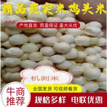 苏州新鲜芡实米鸡头米产地直发品质保证量大从优