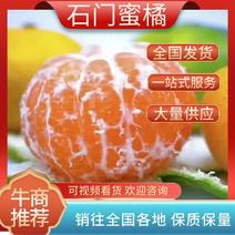 【精选】湖南石门蜜橘，口感酸甜，果肉饱满产地直供新鲜采摘