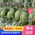 【荐】山东潍坊地爬全美2k小糖丸火爆供应！保证质量欢迎咨询