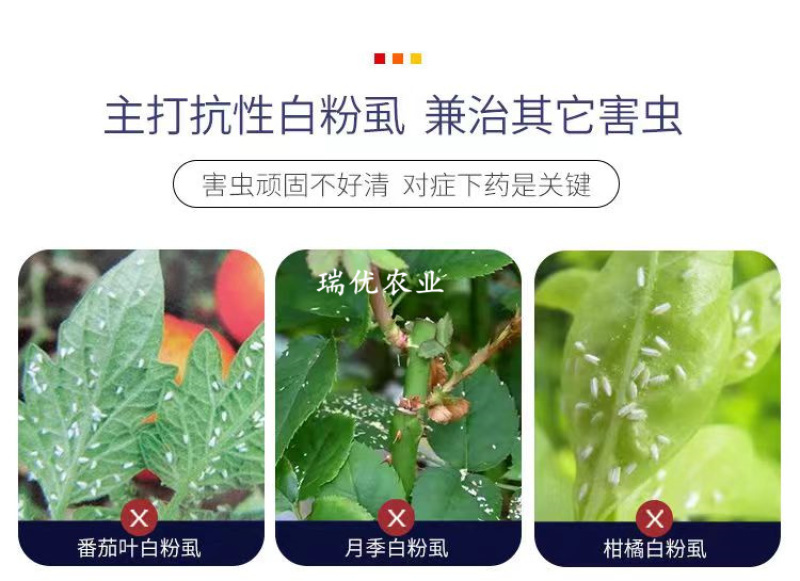 阿维啶虫脒吡丙醚抗性蚜虫白粉虱黄条跳甲农用广谱杀虫剂